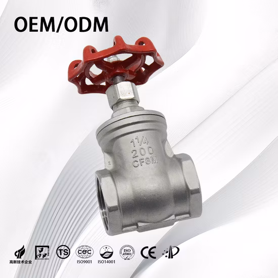 Robinet-vanne de 10 pouces à commande manuelle API 600 pour le pétrole et le gaz