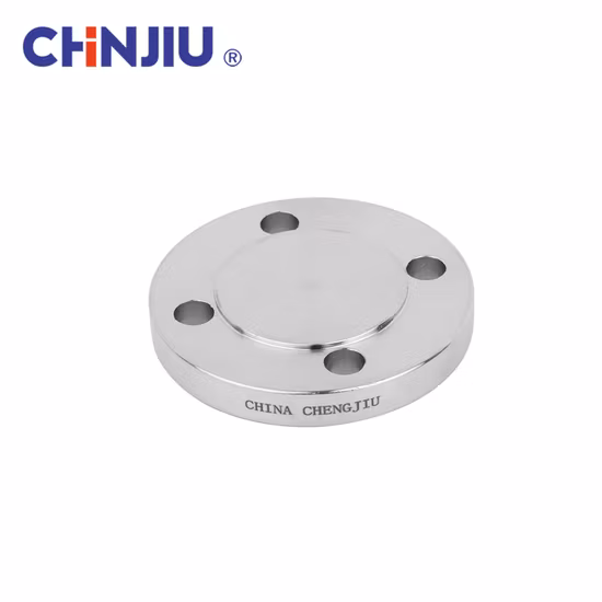 ASME ANSI B16.5 Bride de tuyau en acier inoxydable forgé 304 316L